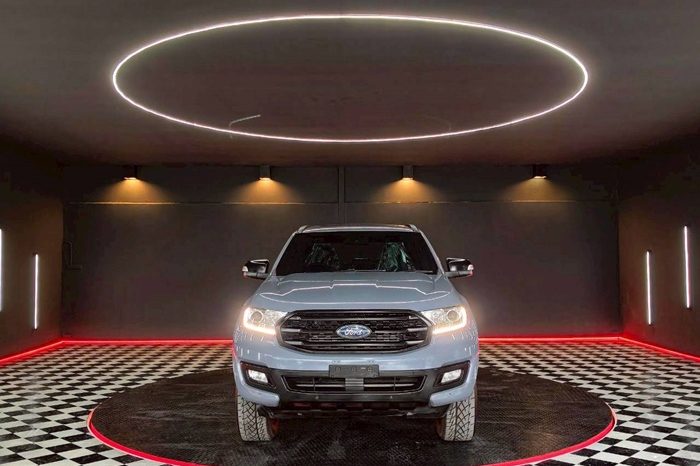 FORD 4WD 2019 2.0 AT SUV EVEREST DARK GREY  46 full