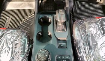 FORD RAPTOR 4WD 2023 3.0 AT DOUBLE CAB GREY  67 full