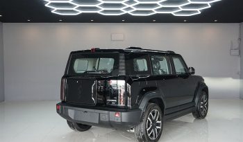 JACOO 2WD 206 EV J6 AT SUV BLACK  3474 full