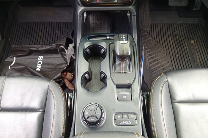 FORD 4WD 2024 3.0 AT DOUBLE CAB DARK GREY  6620 full